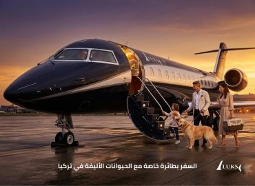 السفر بطائرة خاصة مع الحيوانات الأليفة